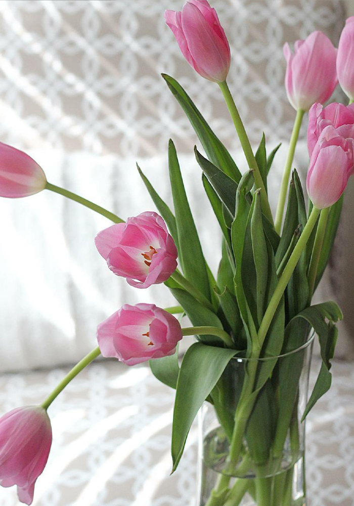 bloomaker-vase-tulips-ag.jpg